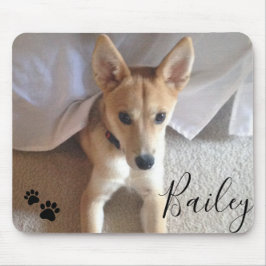 Anpassningsbar Hund Pet-foto och Namn-Tassavtryck Musmatta