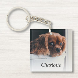 Anpassningsbar Hund Pet Photo