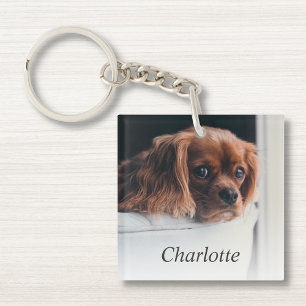 Anpassningsbar Hund Pet Photo