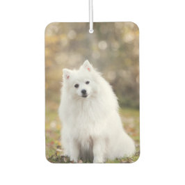 Anpassningsbar Hund Photo