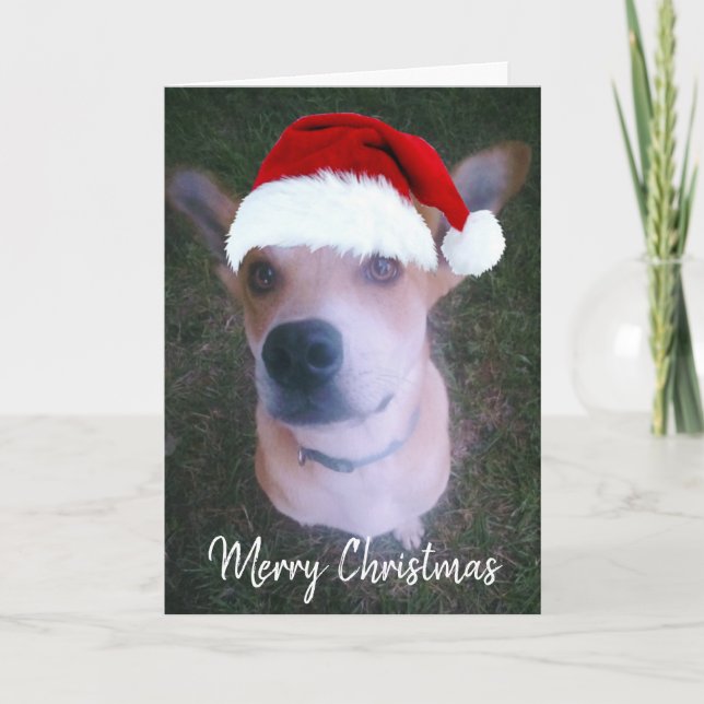 Anpassningsbar Hund Photo Cute Red jul Helgkort (Framsida)
