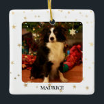 Anpassningsbar Hund Photo Julgransprydnad Keramik<br><div class="desc">Denna vackra julprydnad är dekorerad med guld-stjärnor. Anpassade enkelt med foto och namn.</div>