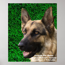 Anpassningsbar Hund Photo Poster - Personlig Pet M