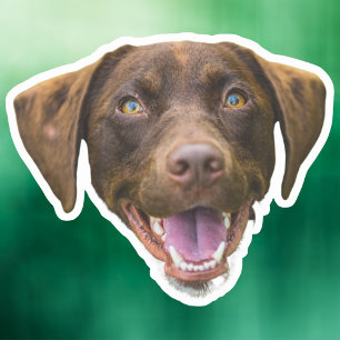 Anpassningsbar Hund Sticker, Hund älskare-gåvor, H Klistermärken