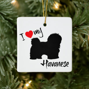 ANPASSNINGSBAR I Kärlek My Havanese Hund Julgransprydnad Keramik