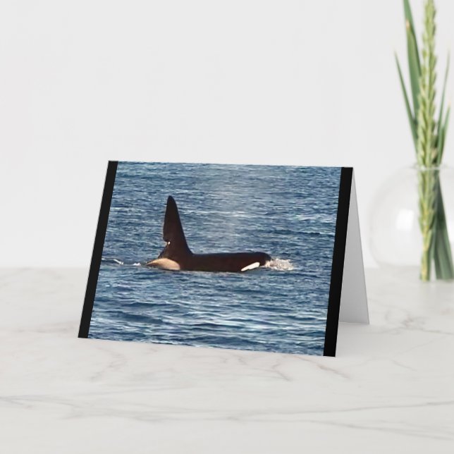 Anpassningsbar John Coe Späckhuggare Västkust Orca Kort (Framsida)