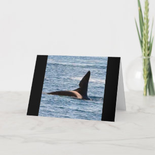 Anpassningsbar John Coe Späckhuggare Västkust Orca Kort