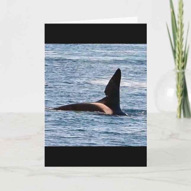 Anpassningsbar John Coe Späckhuggare Västkust Orca Kort (Framsida)