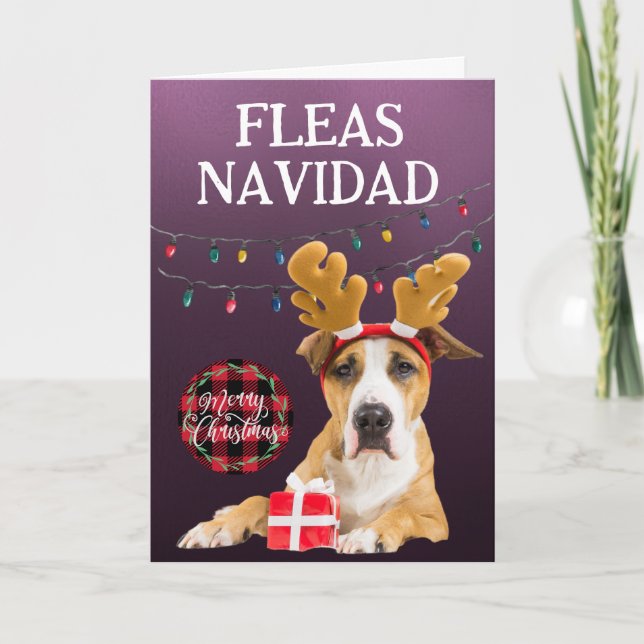 Anpassningsbar Julkort från Stafford Terrier Tack Kort (Framsida)