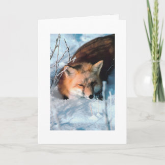 Anpassningsbar julkort Hälsning Snö Fox Helgdag Ca Helgkort