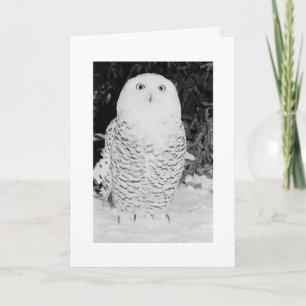 Anpassningsbar Julkort Julafton Helgdagar Winter U Helgkort