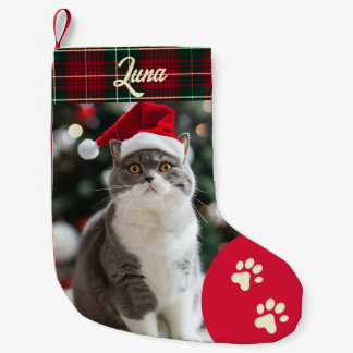 Anpassningsbar Kat Photo Jul Stock Liten Julstrumpa