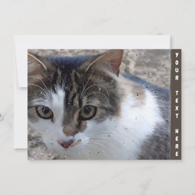 Anpassningsbar katt vid fönstret-kort (Framsida)