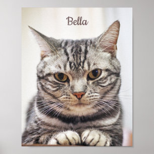 Anpassningsbar Kattfoto och Namn Poster