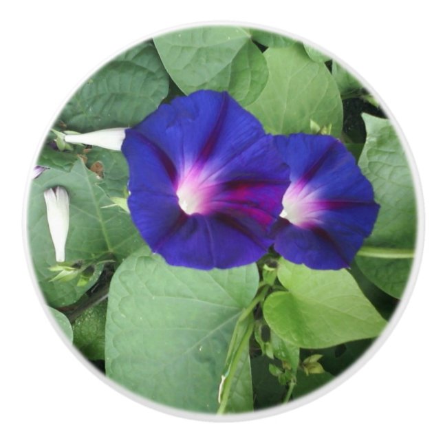 Anpassningsbar keramisk knopp med blommor (Framsidan)