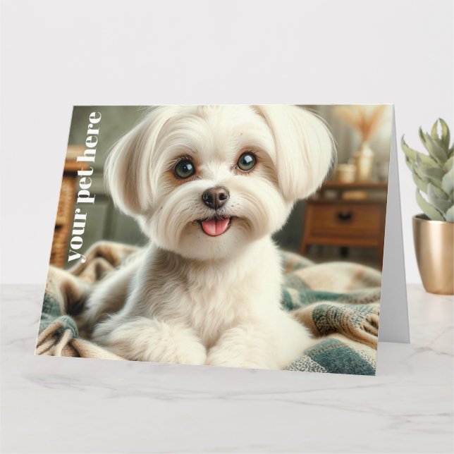 Anpassningsbar Kort (Liten växt)