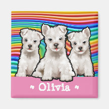 Anpassningsbar kvadrat Regnbågsvalpar med magnet.