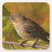 anpassningsbar kvadrerar kustfartyget