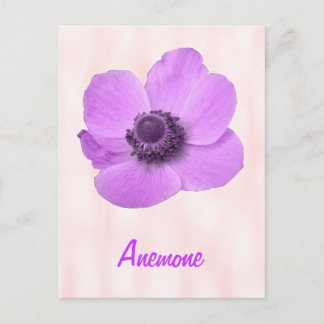 Anpassningsbar kvinnlig rosa Anemone vykort