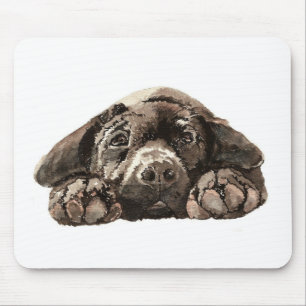 Anpassningsbar Labrador Retriever - insamling av H Musmatta