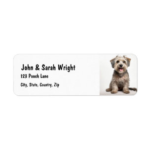 Anpassningsbar Lhasa Apso-Hund adressetikett Returadress Etikett