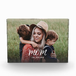 Anpassningsbar Mamma har etablerat ett modernt skr