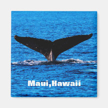 Anpassningsbar Maui Humpback Whale svan magnet