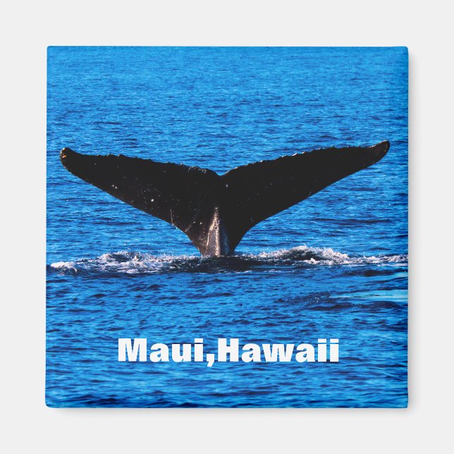 Anpassningsbar Maui Humpback Whale svan magnet (Framsidan)