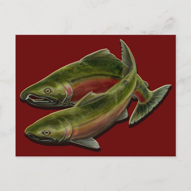 Anpassningsbar med vykort för fiske Salmon Fish Po (Framsida)