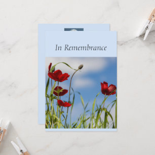 Anpassningsbar Memorial Service Red Anemone Garden Inbjudningar