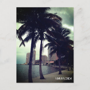 Anpassningsbar Miami Florida, i närheten och i ham Vykort