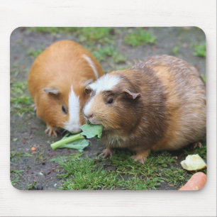 Anpassningsbar Modern Pet Bild Musmatta