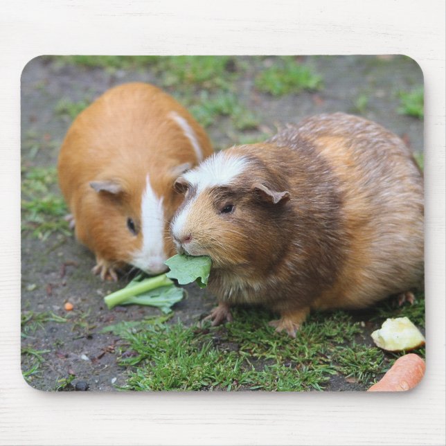 Anpassningsbar Modern Pet Bild Musmatta (Framsidan)