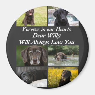 Anpassningsbar modern Pet Memorial 6 Photo Collage Magnet