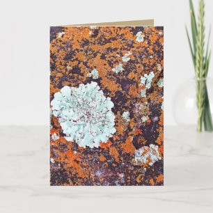 Anpassningsbar Natur Stone och Lichen - tackkort