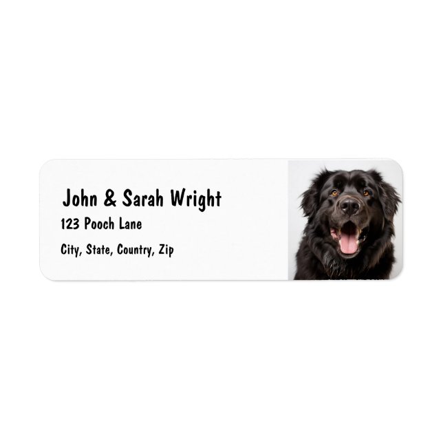 Anpassningsbar Newfoundland Hund Address Label Returadress Etikett (Framsidan)