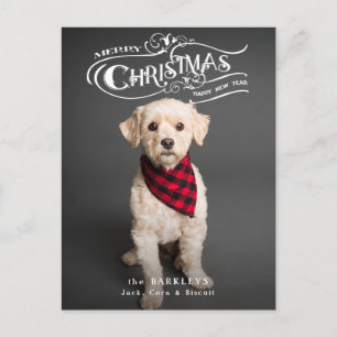 Anpassningsbar Ornate jul Typography Pet Photo Helg Vykort