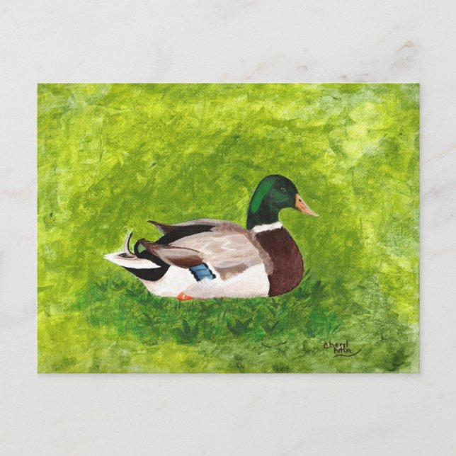 Anpassningsbar Painting of Mallard Anka Postcard Vykort (Framsida)