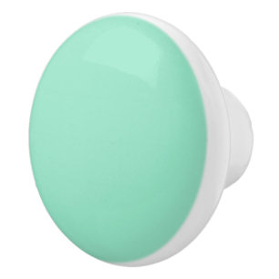 Anpassningsbar Pastel Mint Solid Färg minimalist Knopp