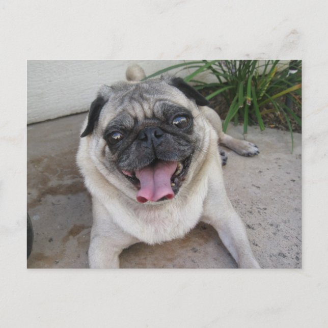 Anpassningsbar Personlig Fotovykort Vykort (Framsida)