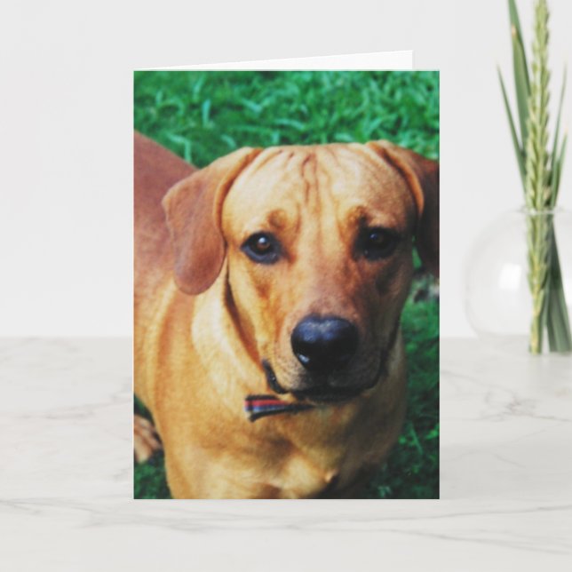 Anpassningsbar Personlig Photo Hälsning Kort (Framsida)