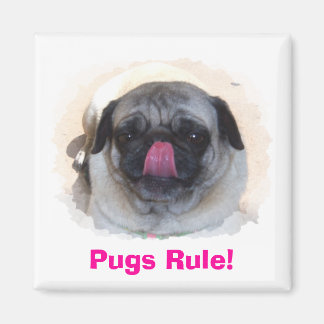 Anpassningsbar Personlig Photo Magnets Magnet