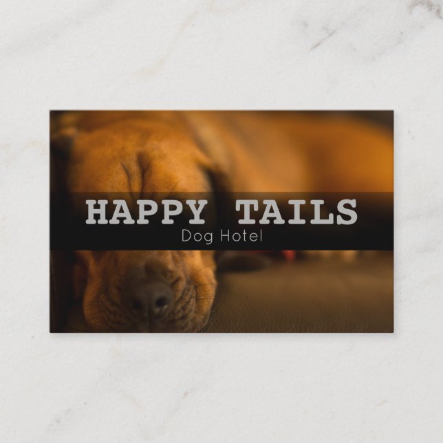 Anpassningsbar Pet Boarding Hotel Sitta Services Visitkort (Framsida)