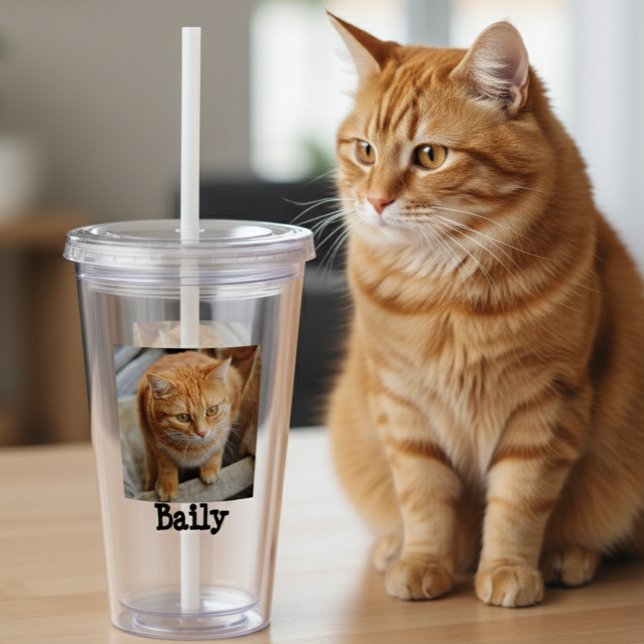 Anpassningsbar Pet Cat Hund Photo Personlig Gift Take Away Mugg (Skapare uppladdad)