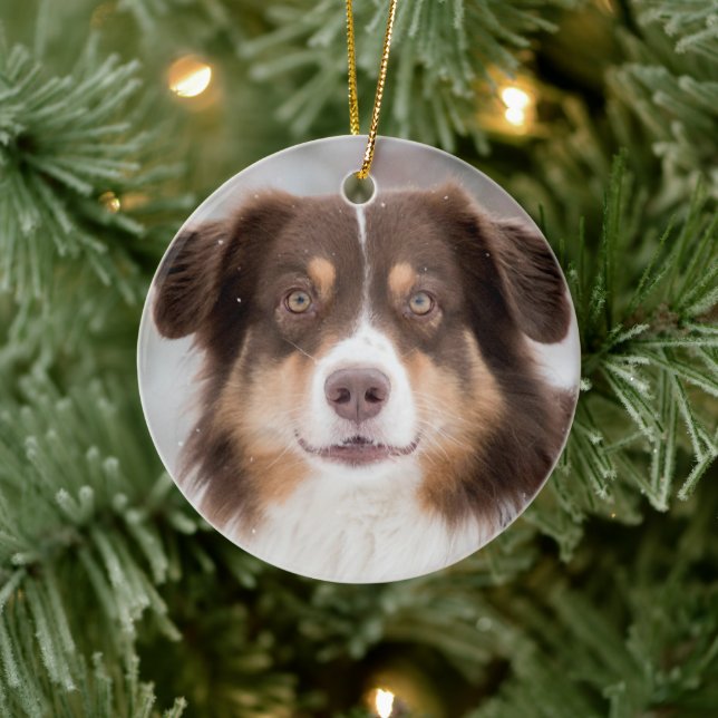 Anpassningsbar Pet Hund 2 Fotojul Julgransprydnad Keramik (Träd)