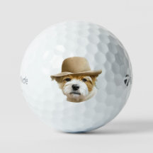 Anpassningsbar Pet Hund Photo Modern Personlig