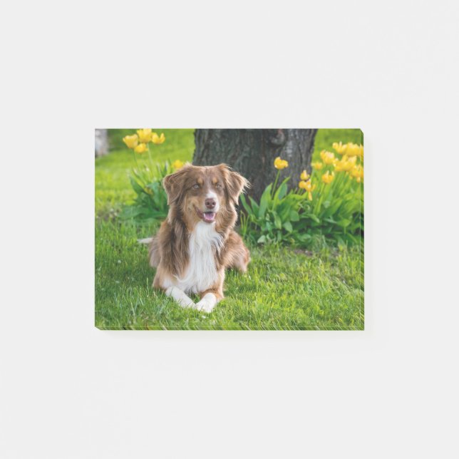 Anpassningsbar Pet Hund Photo Personlig Post-it Block (Framsida)