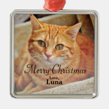 Anpassningsbar Pet Namn jul - Helgdag Photo