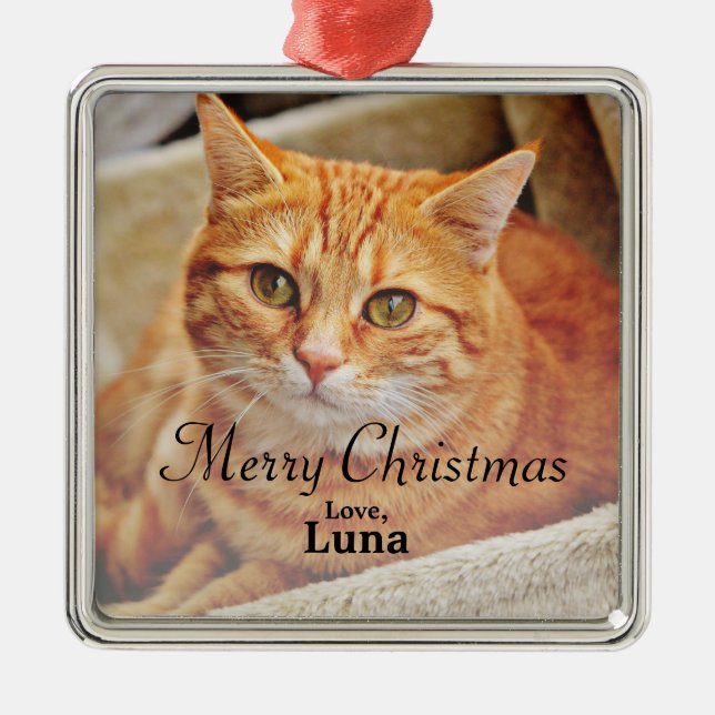Anpassningsbar Pet Namn jul - Helgdag Photo Julgransprydnad Metall (Framsidan)