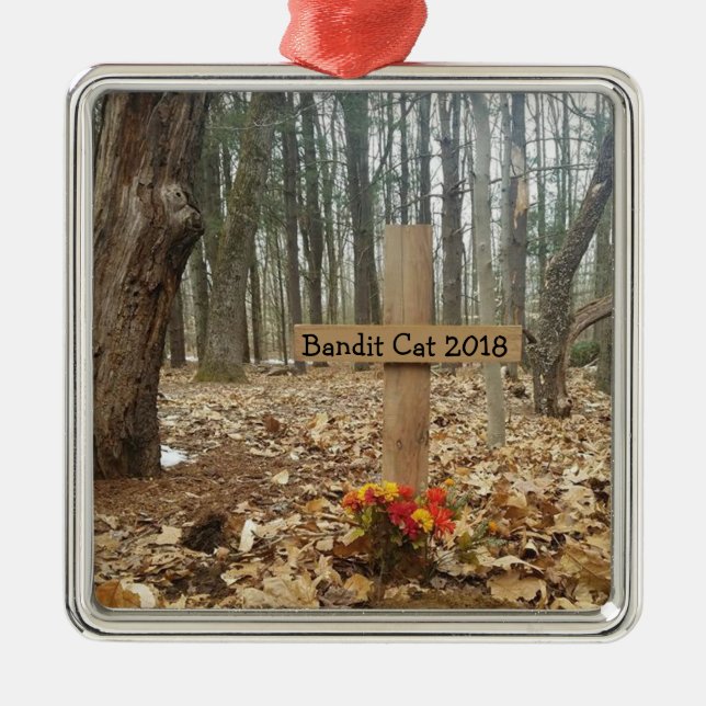 Anpassningsbar Pet Namn Julgransprydnad Metall (Framsidan)